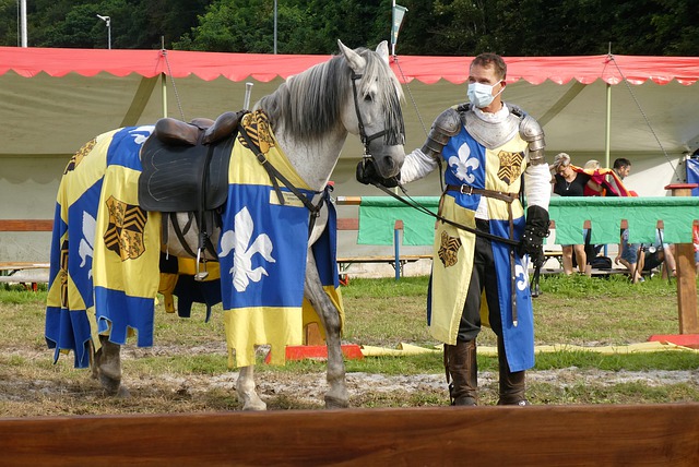 义的体现 义的体现