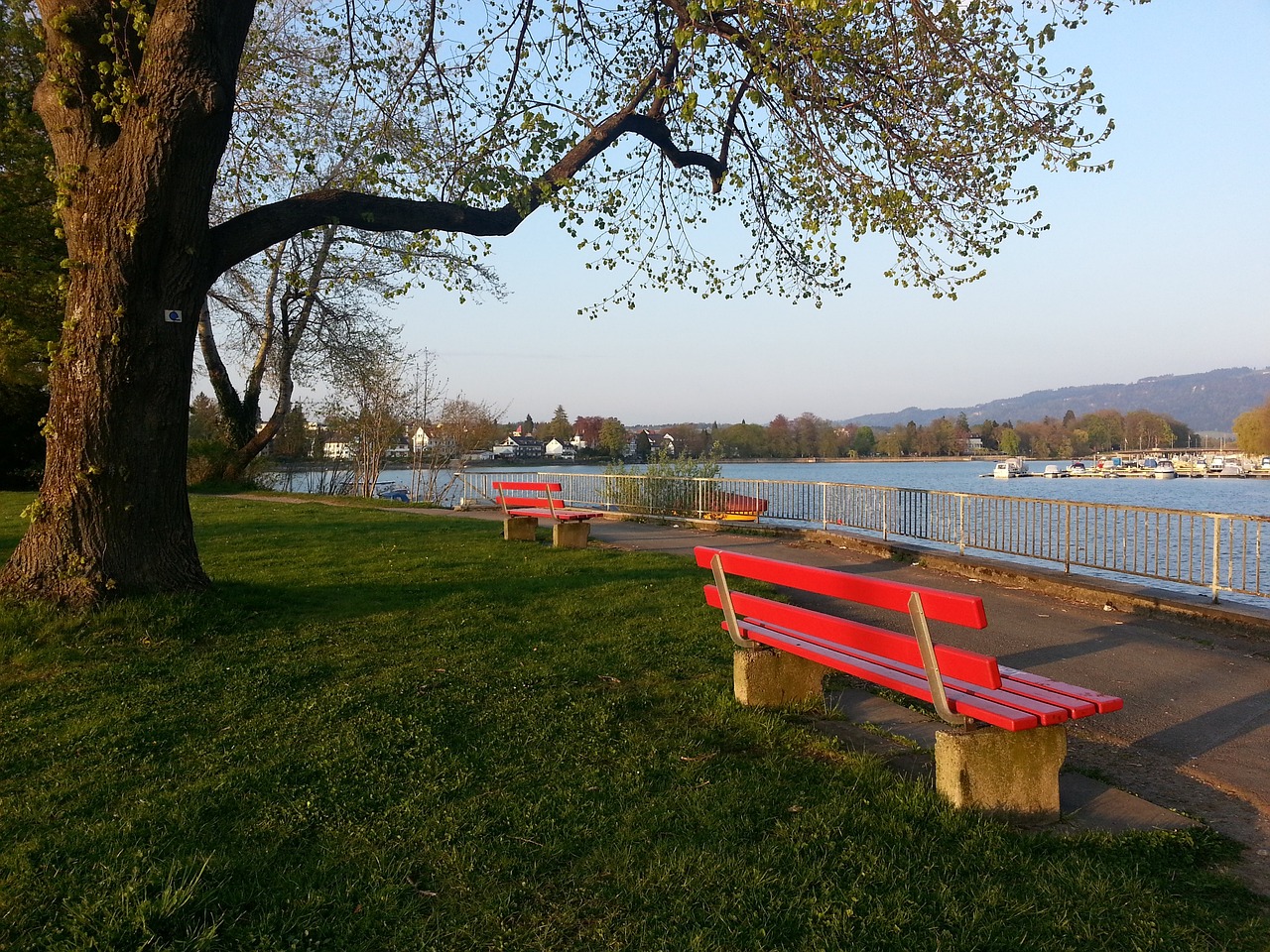 開始顯得僵 開始顯得僵