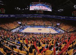 資源依賴型 資源依賴型