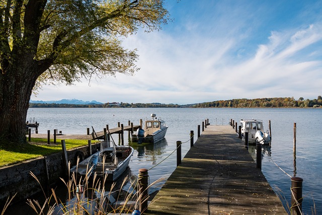 這次錯判無 這次錯判無