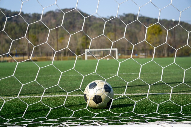 减少运动损 减少运动损