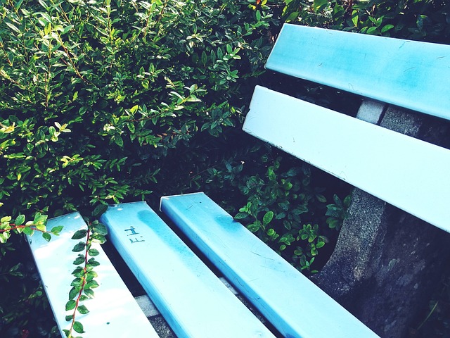 生了一丝疑 生了一丝疑